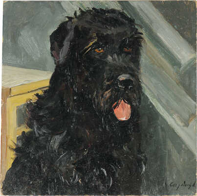 Скоробогатов Игорь Константинович.  Чёрный пес